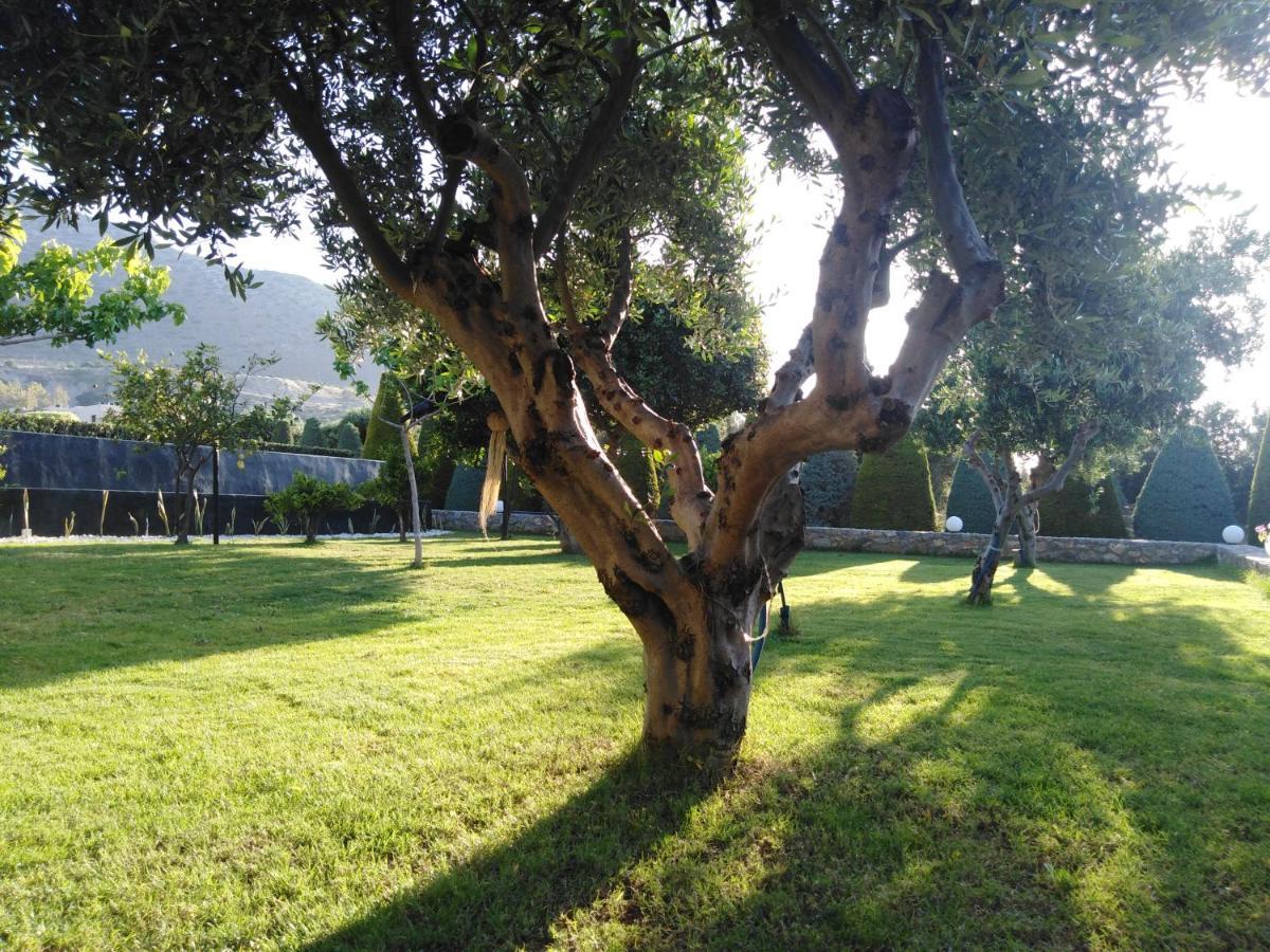 Golden Crest Villa Hersonissos  Esterno foto