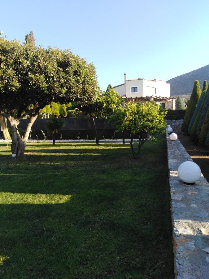 Golden Crest Villa Hersonissos  Esterno foto